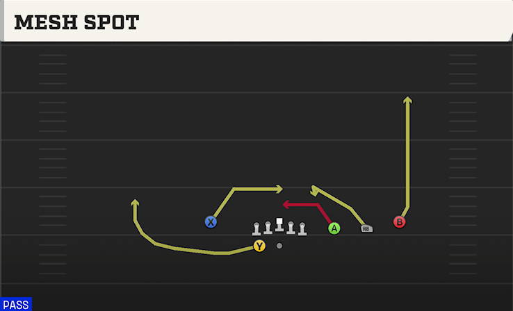 MESH SPOT play diagram