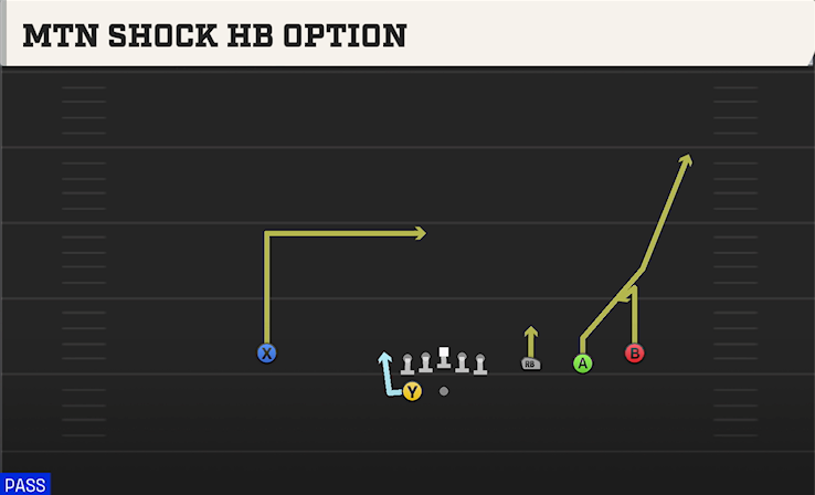 MTN SHOCK HB OPTION play diagram
