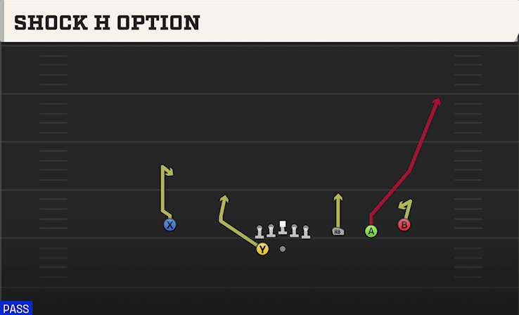 SHOCK H OPTION play diagram