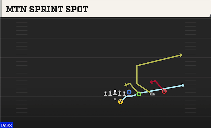 MTN SPRINT SPOT play diagram