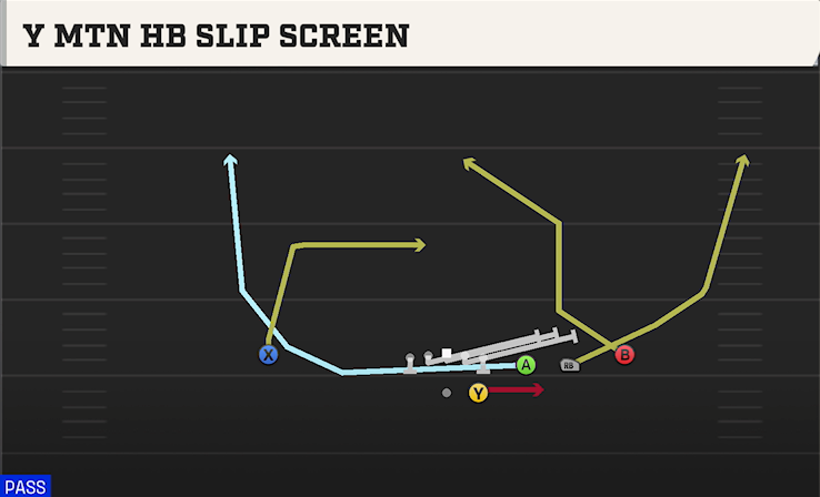Y MTN HB SLIP SCREEN play diagram