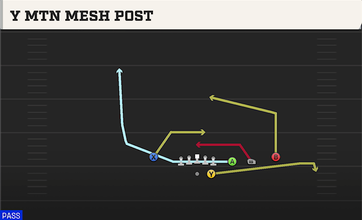 Y MTN MESH POST play diagram