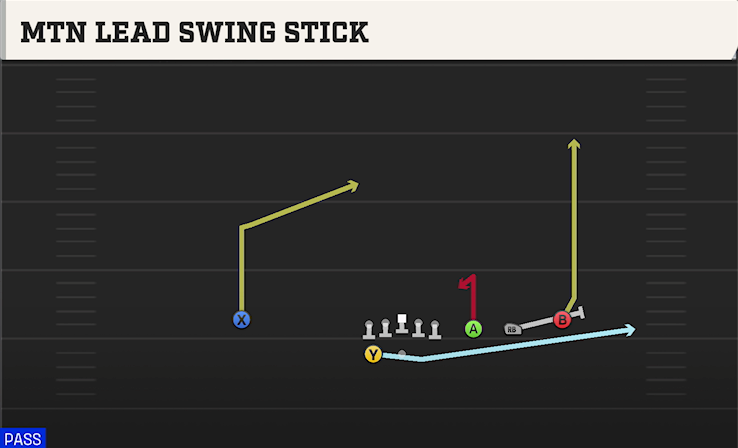 MTN LEAD SWING STICK play diagram