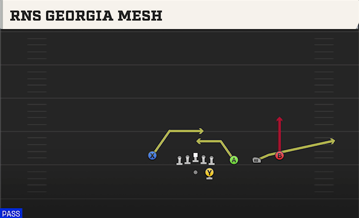 RNS GEORGIA MESH play diagram