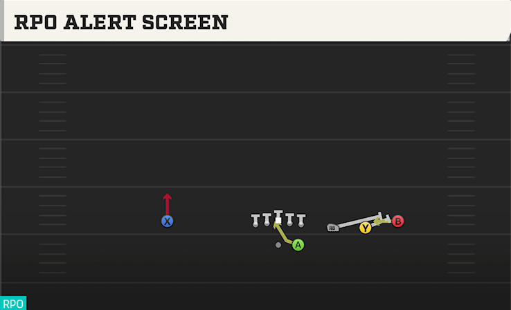 RPO ALERT SCREEN play diagram