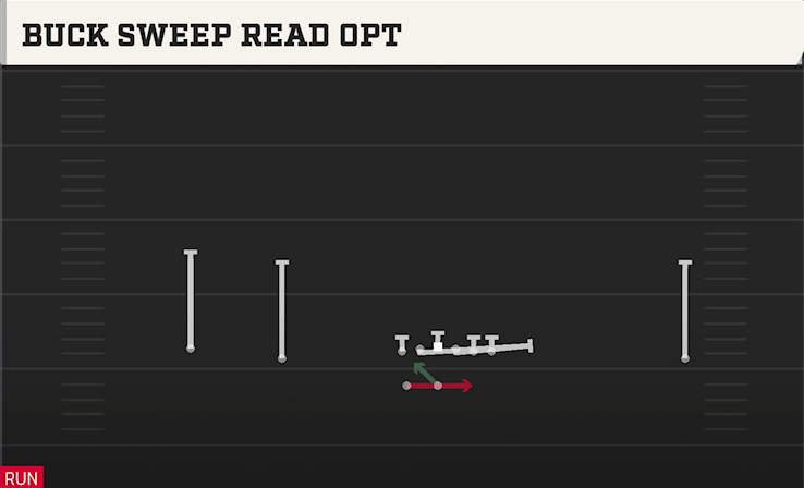 BUCK SWEEP READ OPT play diagram