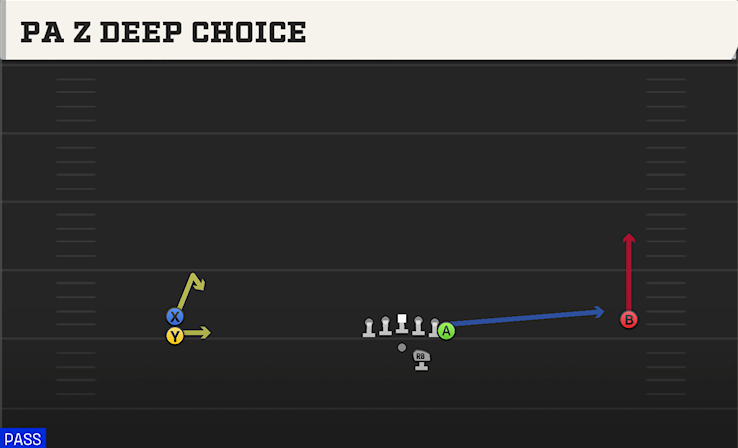 PA Z DEEP CHOICE play diagram