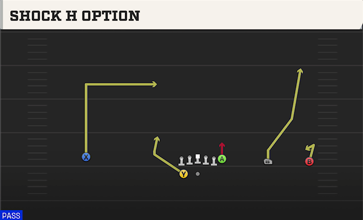 SHOCK H OPTION play diagram