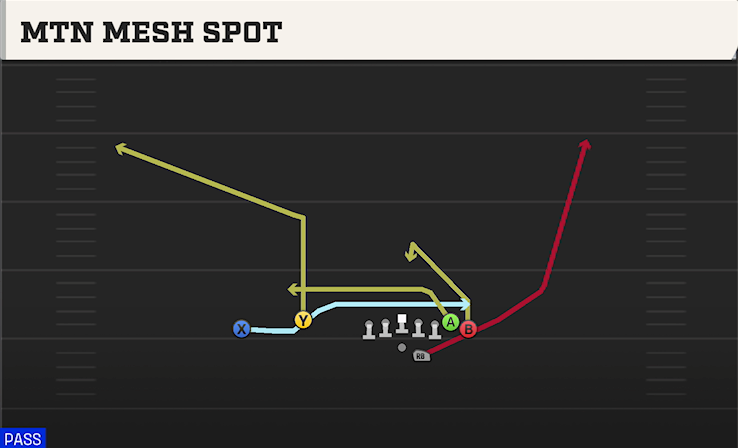 MTN MESH SPOT play diagram