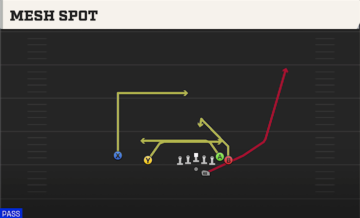 MESH SPOT play diagram