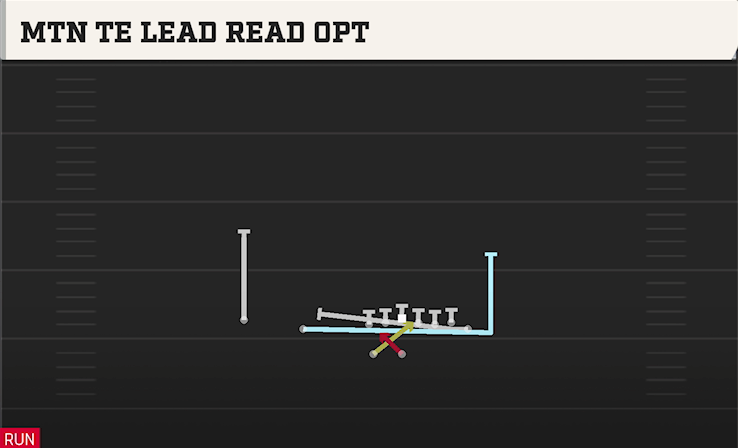 MTN TE LEAD READ OPT play diagram