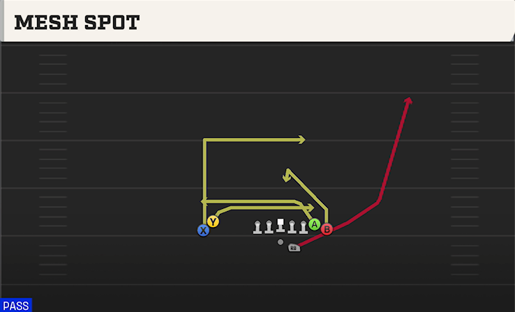 MESH SPOT play diagram