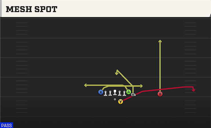 MESH SPOT play diagram