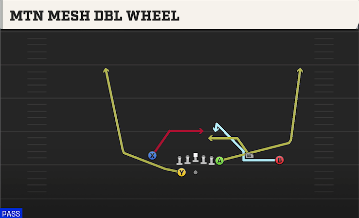 MTN MESH DBL WHEEL play diagram