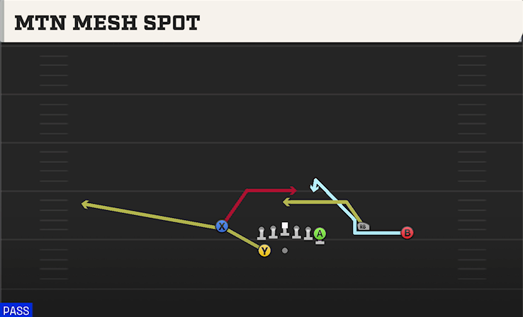 MTN MESH SPOT play diagram