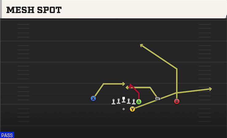 MESH SPOT play diagram