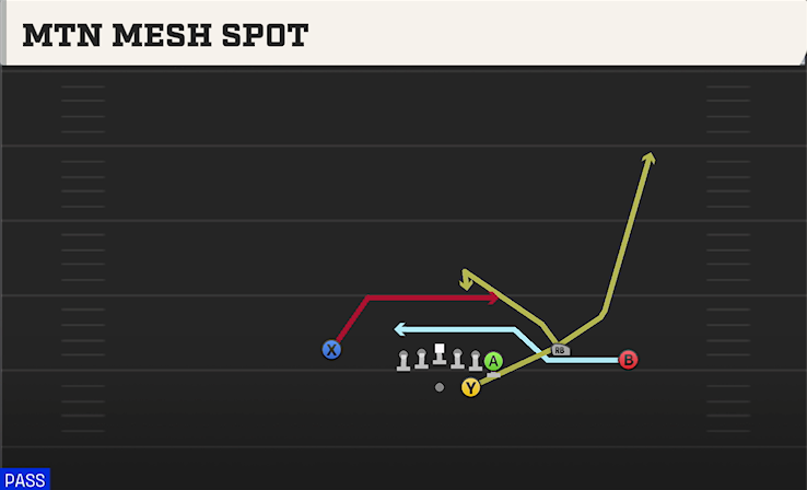 MTN MESH SPOT play diagram