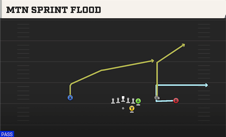 MTN SPRINT FLOOD play diagram
