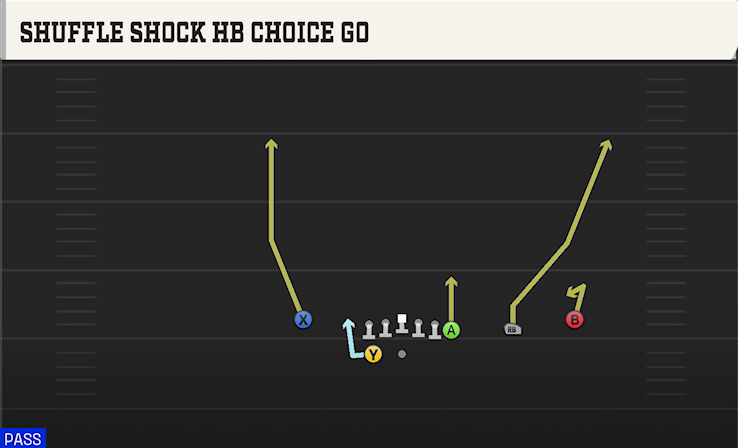 SHUFFLE SHOCK HB CHOICE GO play diagram