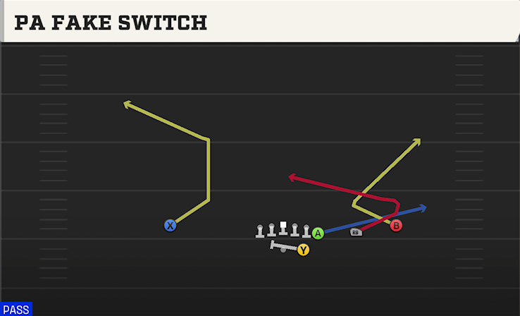 PA FAKE SWITCH play diagram
