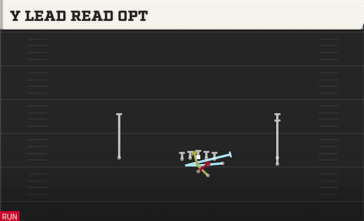Y LEAD READ OPT play diagram