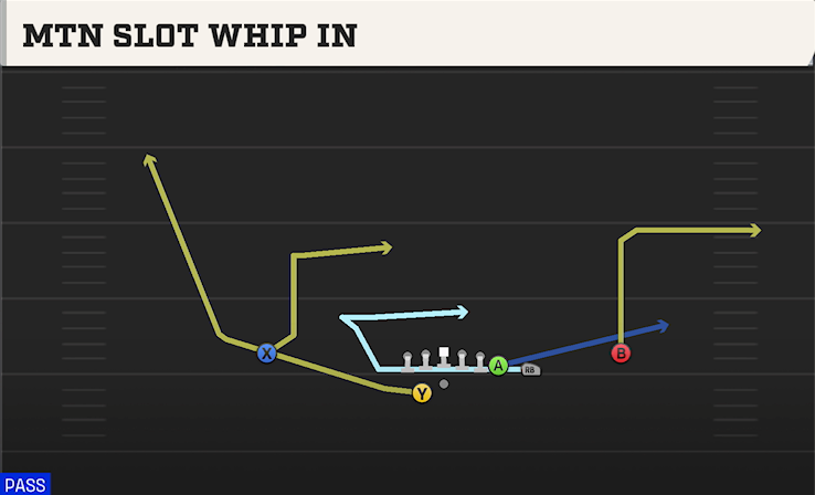 MTN SLOT WHIP IN play diagram