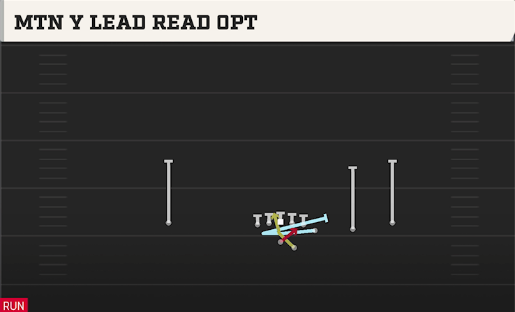 MTN Y LEAD READ OPT play diagram