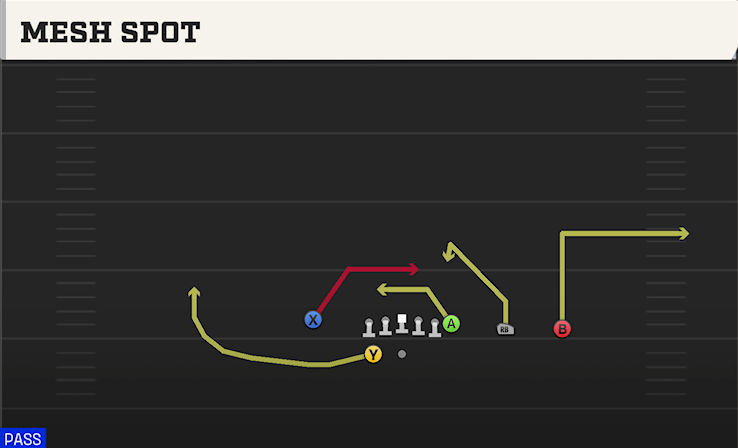 MESH SPOT play diagram