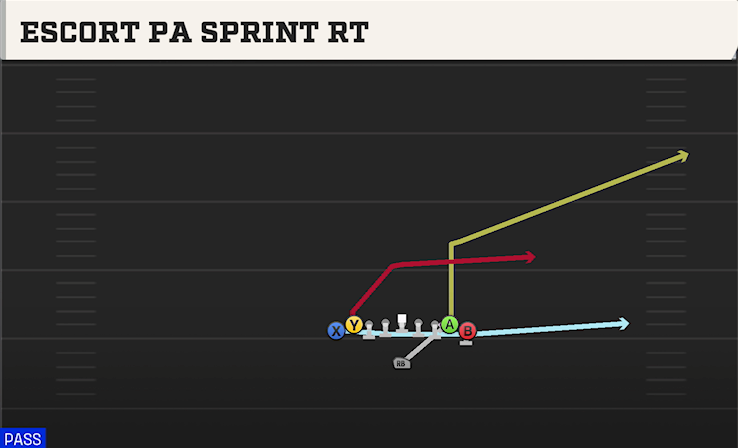 ESCORT PA SPRINT RT play diagram