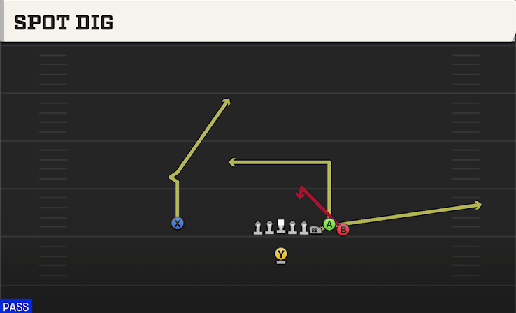 SPOT DIG play diagram