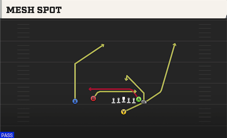 MESH SPOT play diagram