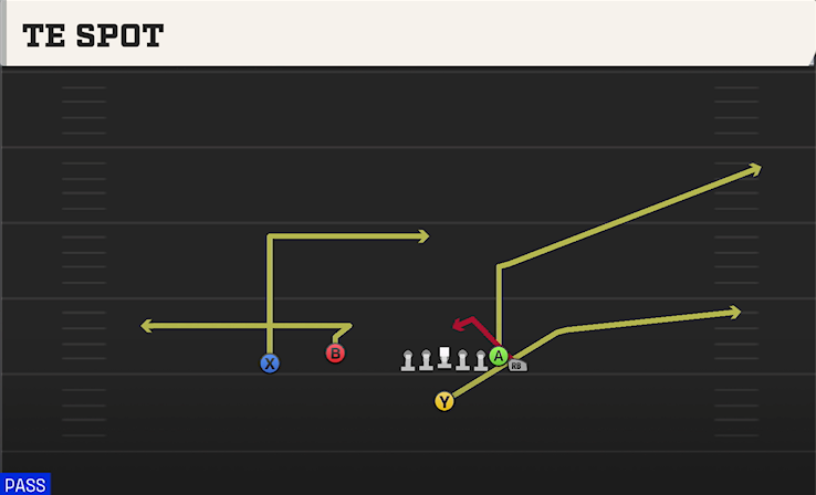 TE SPOT play diagram