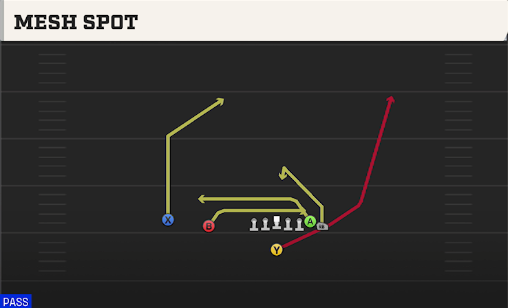 MESH SPOT play diagram