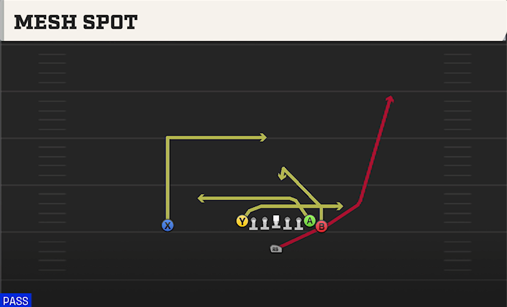 MESH SPOT play diagram