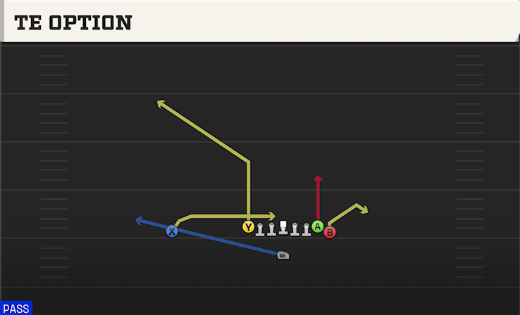 TE OPTION play diagram