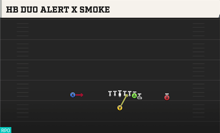 HB DUO ALERT X SMOKE play diagram