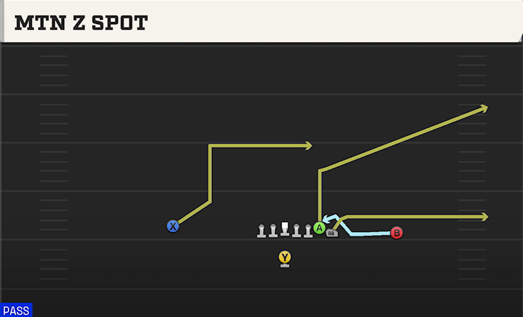 MTN Z SPOT play diagram