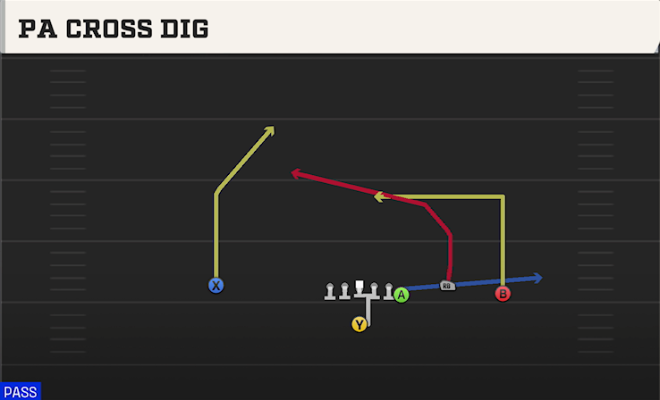 PA CROSS DIG play diagram