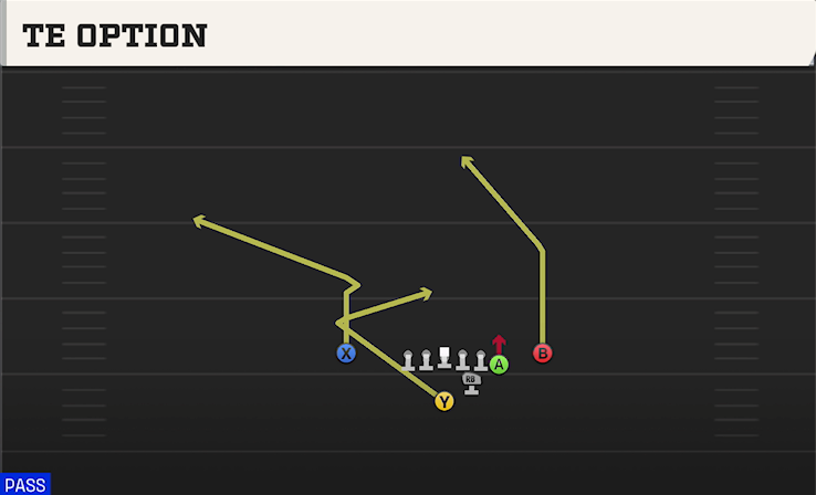 TE OPTION play diagram