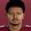 Palaie Faoa