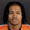 Ladainian Fields