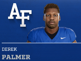 Derek Palmer