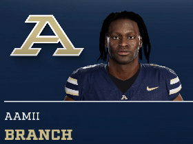 Aamii Branch