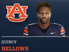 Quincy Bellows
