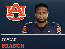 Tavian Branch