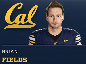 Brian Fields