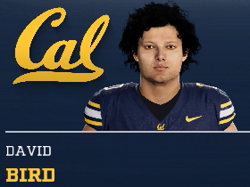 David Bird
