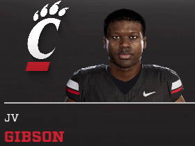 Jv Gibson