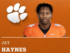 Jay Haynes
