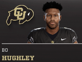 Bo Hughley